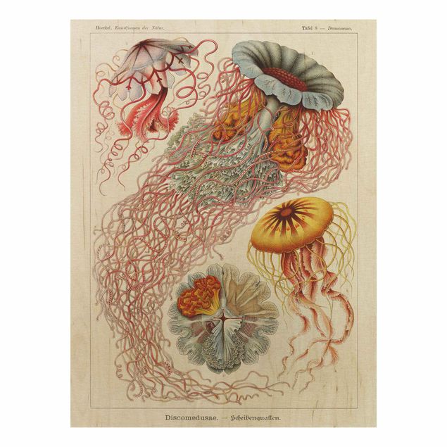 Houten schilderijen Vintage Board Jellyfish