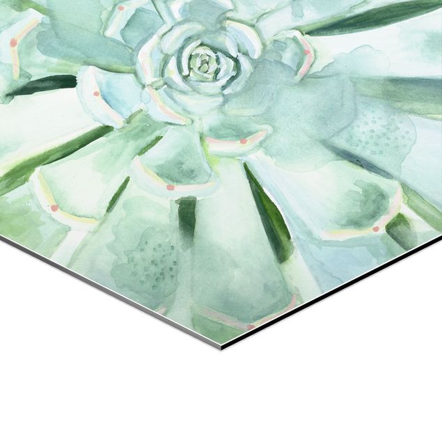 Hexagons Aluminium Dibond schilderijen - 2-delig Succulent Watercolour Set I