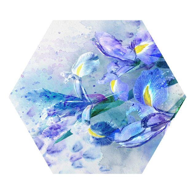 Hexagons Forex schilderijen Watercolour Flowers Iris
