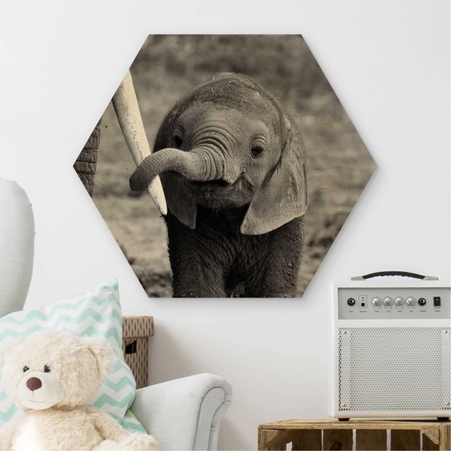 Hexagons houten schilderijen Baby Elephant