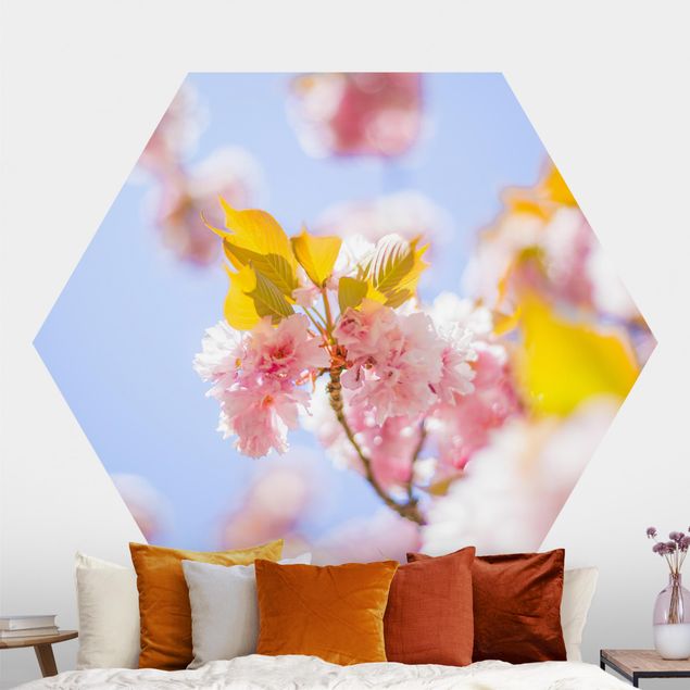 Hexagon Behang Colourful Cherry Blossoms