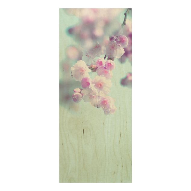 Houten schilderijen Colourful Cherry Blossoms
