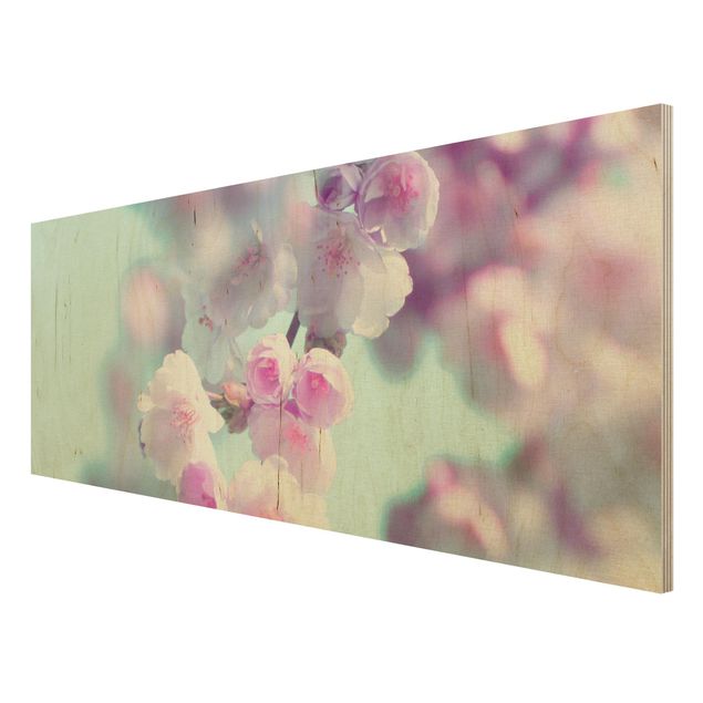 Houten schilderijen Colourful Cherry Blossoms