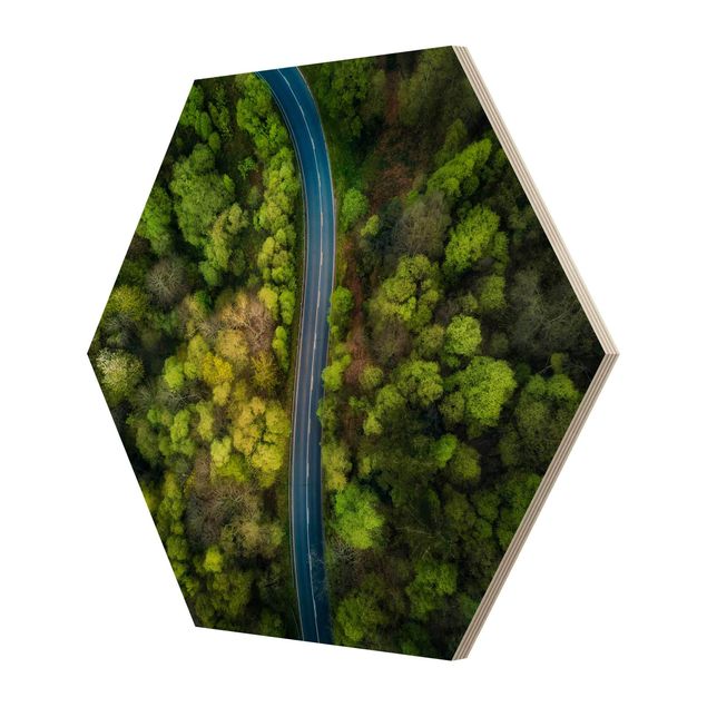 Hexagons houten schilderijen Aerial View - Asphalt Road In The Forest