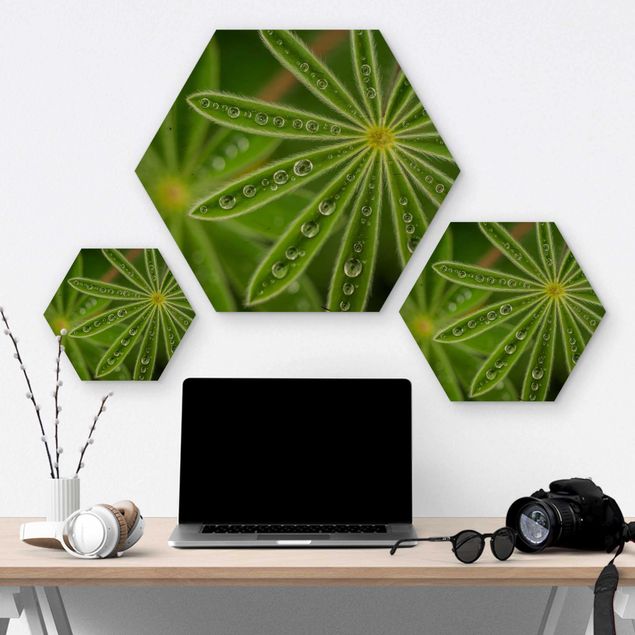 Hexagons houten schilderijen Morning Dew On Lupine Leaves