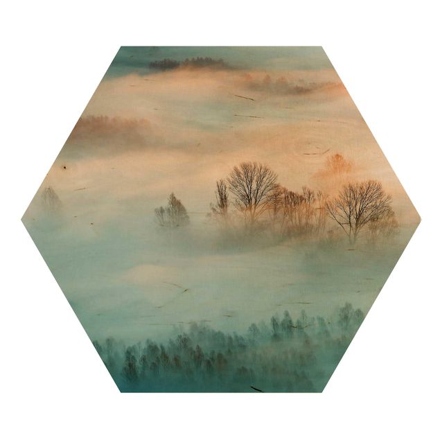 Hexagons houten schilderijen Fog At Sunrise