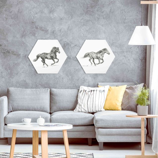 Hexagons Aluminium Dibond schilderijen - 2-delig Wild Horse Study Set I