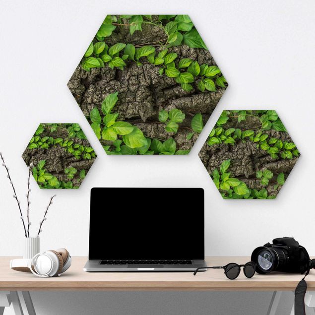 Hexagons houten schilderijen Ivy Tendrils Tree Bark
