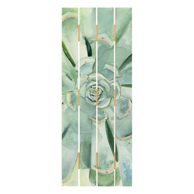 Houten schilderijen op plank Succulent Plant Watercolour Light Coloured