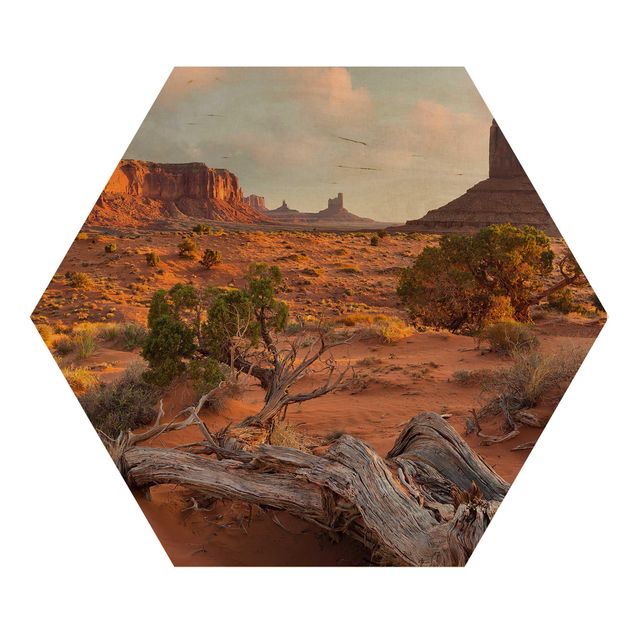 Hexagons houten schilderijen Monument Valley Navajo Tribal Park Arizona