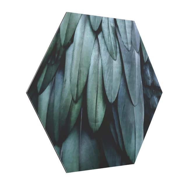 Hexagons Aluminium Dibond schilderijen Feathers In Aquamarine