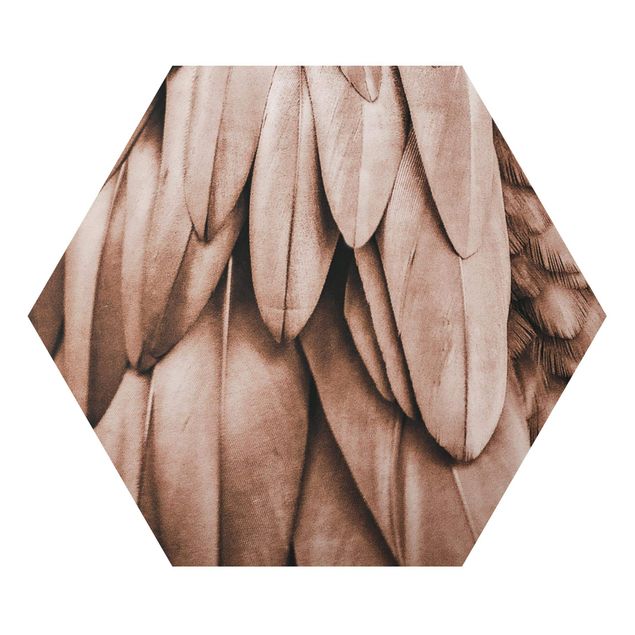 Hexagons Aluminium Dibond schilderijen Feathers In Rosegold
