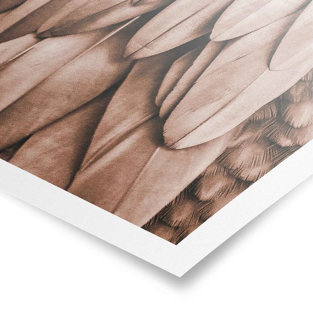 Posters Feathers In Rosegold