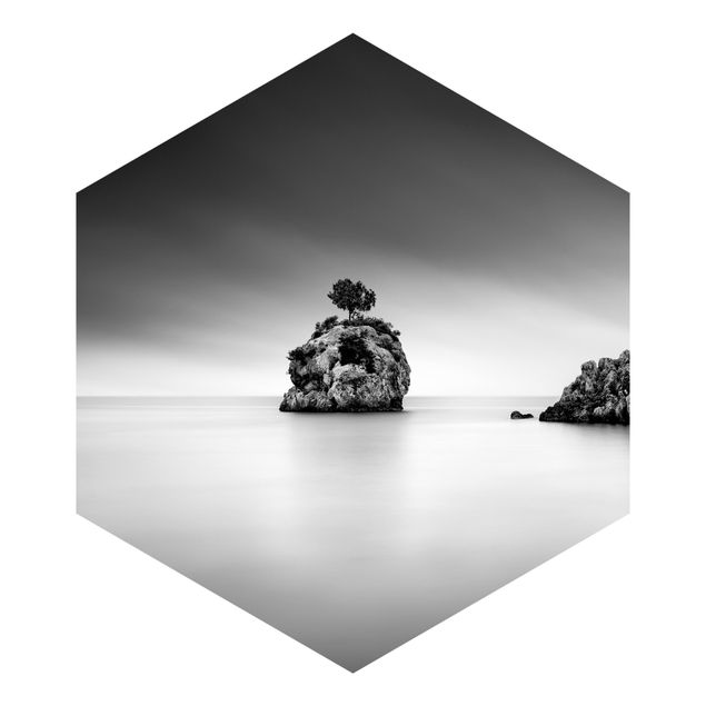 Hexagon Behang Rocky Island In The Sea Black And White