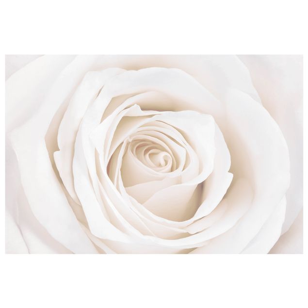 Raamfolie Pretty White Rose