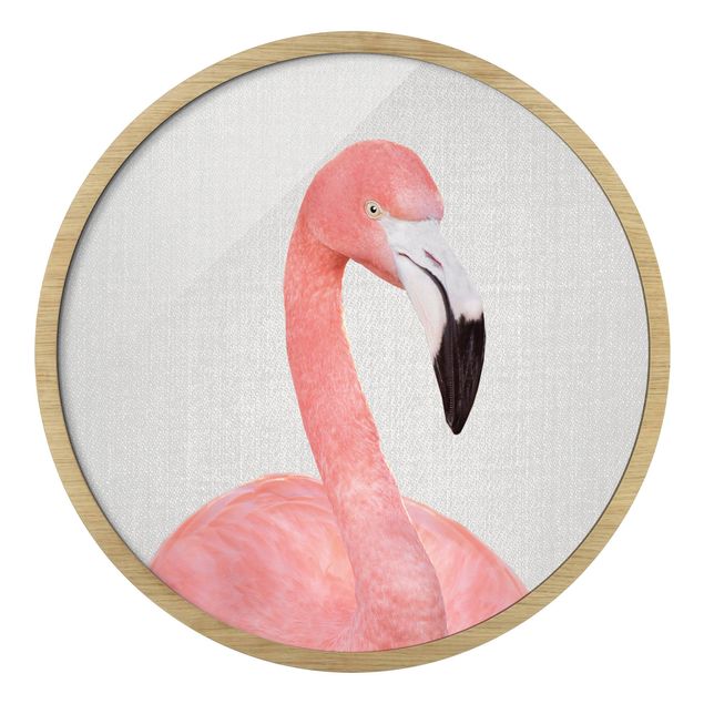 Rond schilderijen Flamingo Fabian