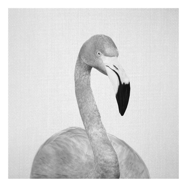 Glasschilderijen - Flamingo Fabian Black And White