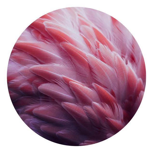 Behangcirkel Flamingo Feathers Close-Up