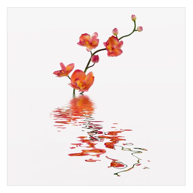 Raamfolie - Flamy Orchid Waters
