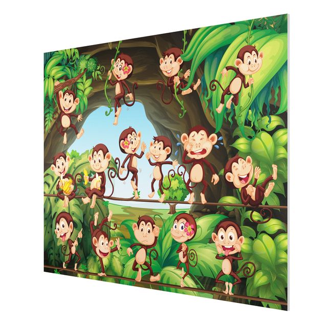 Forex schilderijen Jungle Monkeys
