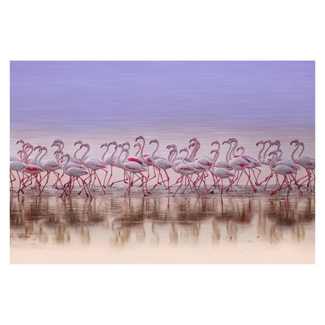 Fotobehang Flamingo Party
