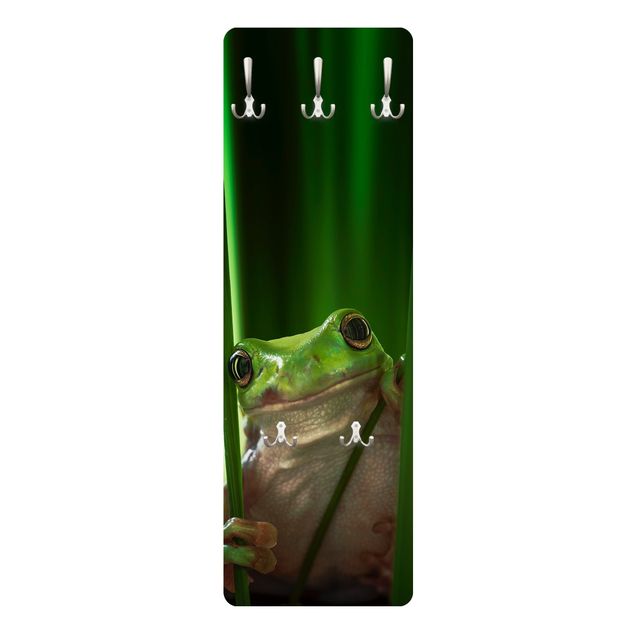 Wandkapstokken houten paneel Merry Frog