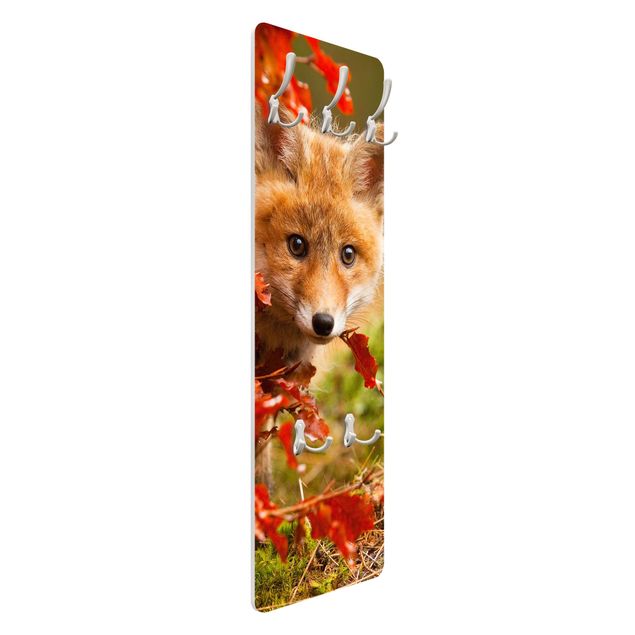Wandkapstokken houten paneel Fox In Autumn