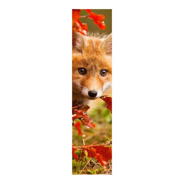 Schuifgordijnen Fox In Autumn