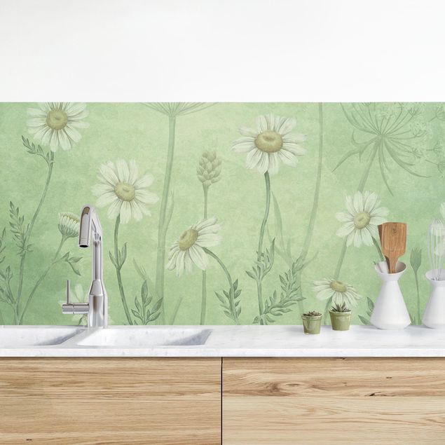 Achterwand voor keuken bloemen Daisies in the green mist