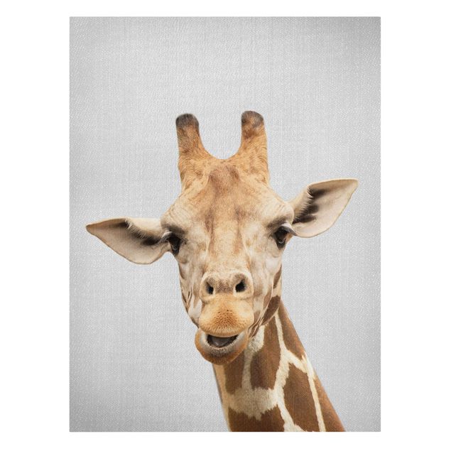 Leinwandbild - Giraffe Gundel - Hochformat 3:4