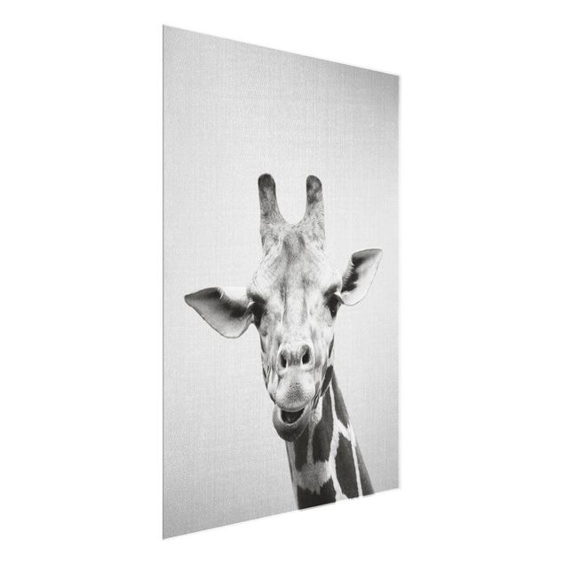 Glasschilderijen - Giraffe Gundel Black And White
