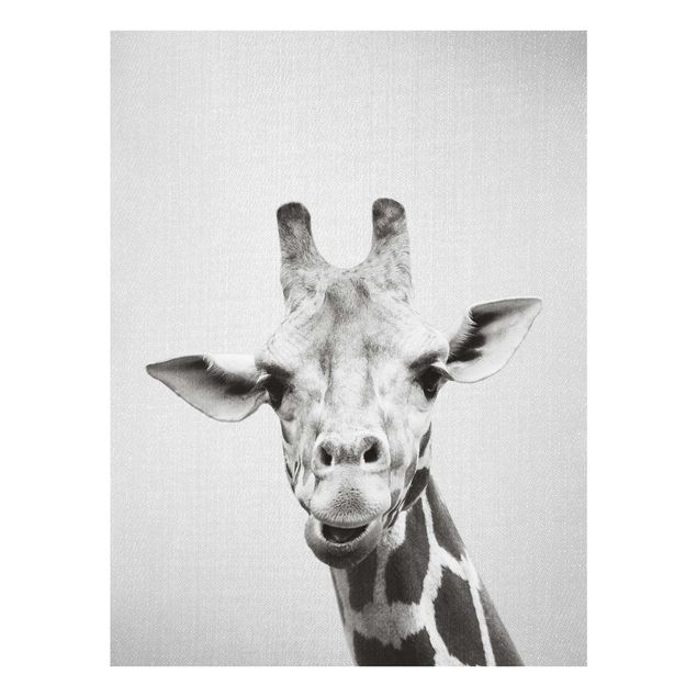 Glasschilderijen - Giraffe Gundel Black And White