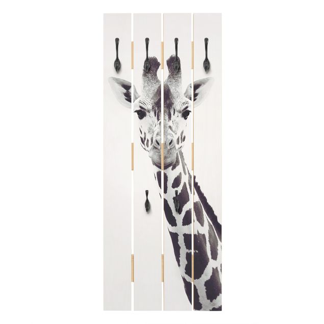 Wandkapstokken houten pallet Giraffe Portrait In Black And White