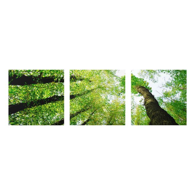 Glasschilderijen - 3-delig Trees Of Life