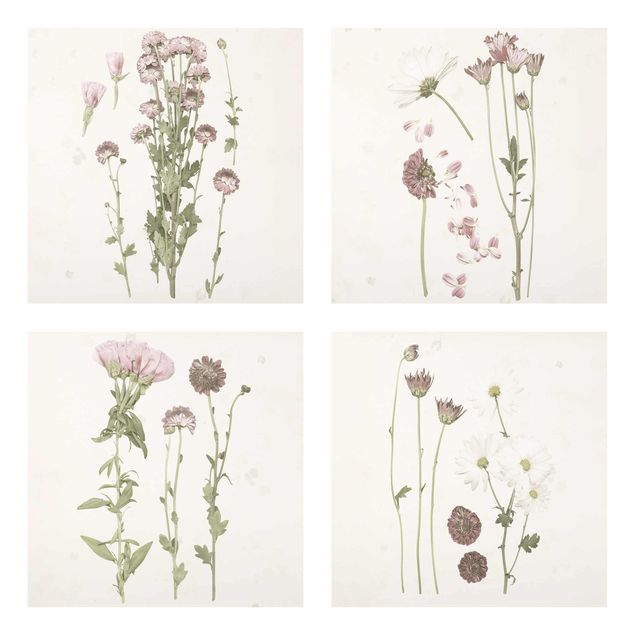 Glasschilderijen - 4-delig Herbarium In Pink Set I
