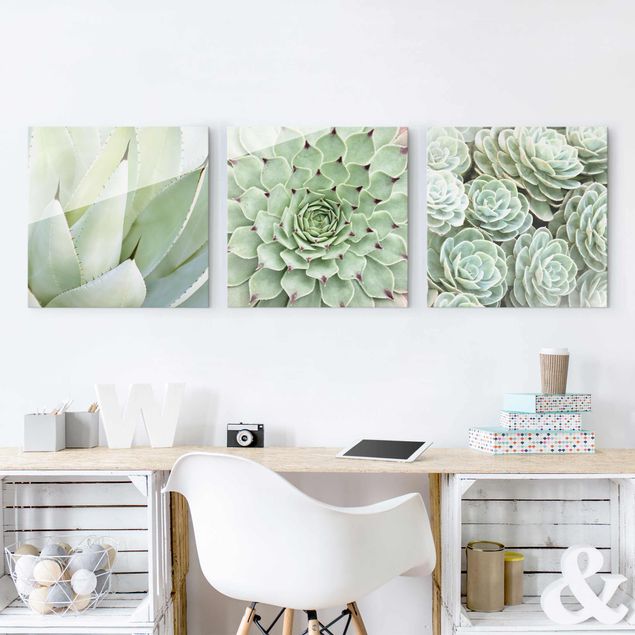 Glas Magnetboard Agave and Succulent Trio