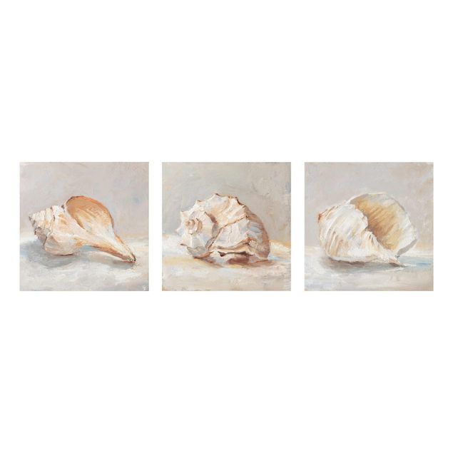 Glasschilderijen - 3-delig Shell Study Set I