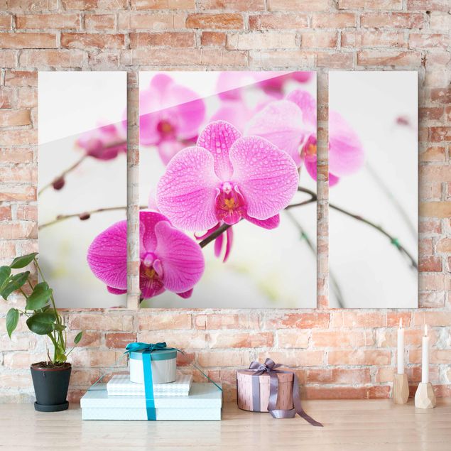 Glasschilderijen - 3-delig Close-Up Orchid