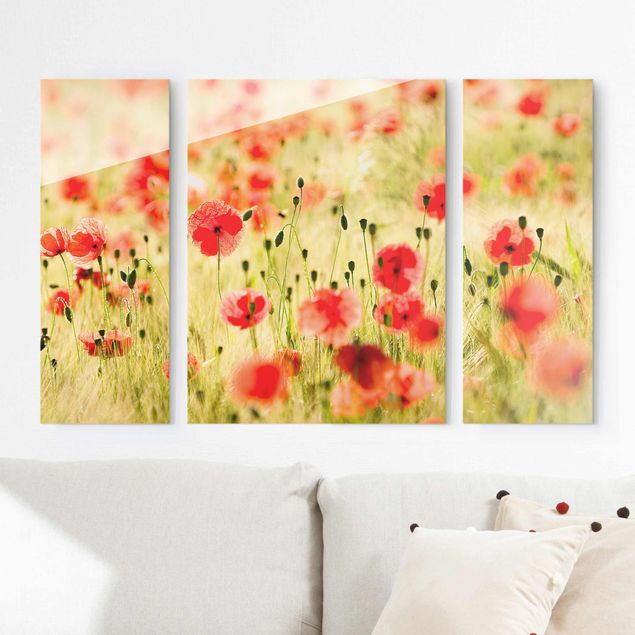 Glas Magnetboard Summer Poppies