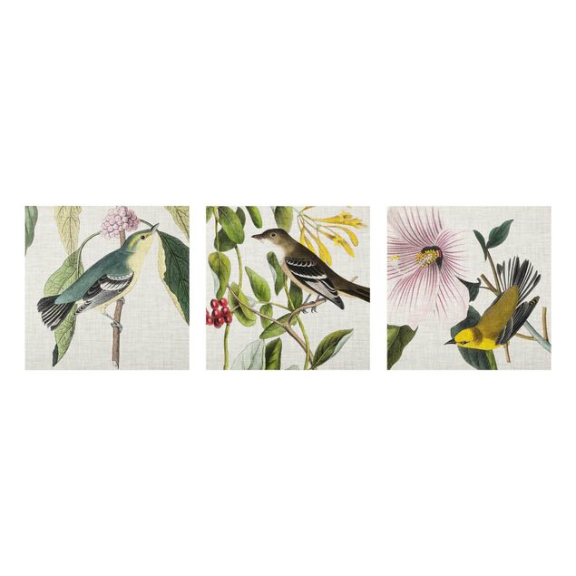 Glasschilderijen - 3-delig Birds On Linen Set I