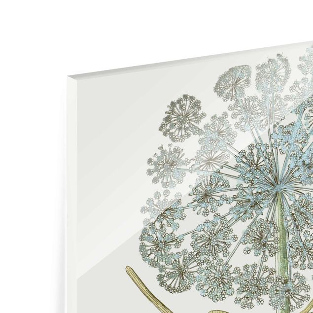 Glasschilderijen - 3-delig Wild Herbs Board Set I