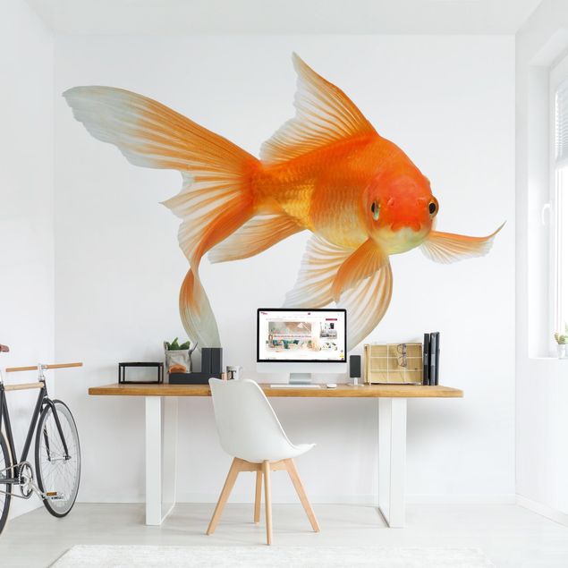 Fotobehang Goldfish Is Watching You