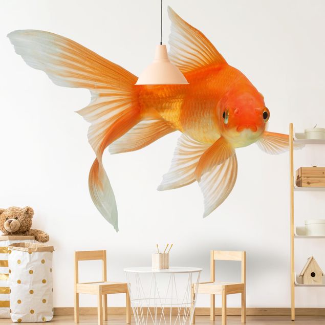 Fotobehang Goldfish Is Watching You