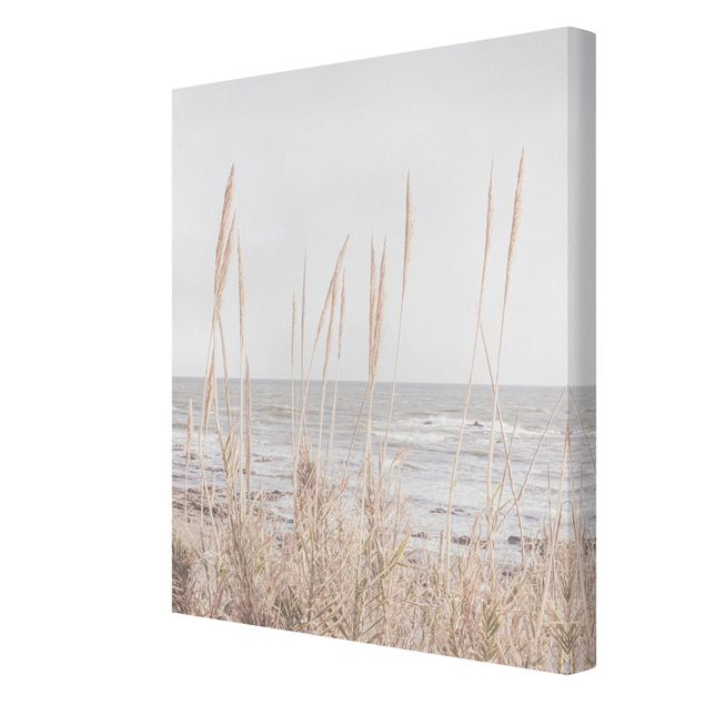 Canvas schilderijen - Grasses by the sea