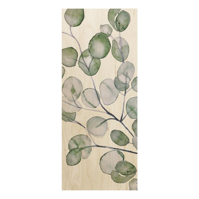 Houten schilderijen Green Watercolour Eucalyptus Branch