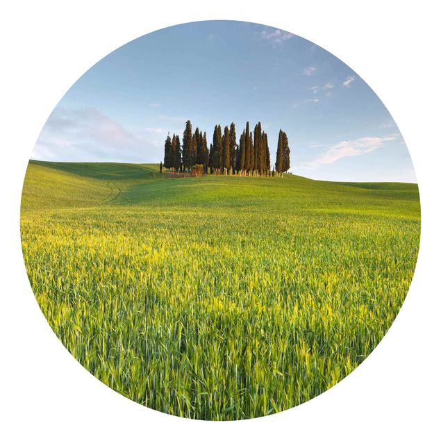Behangcirkel Green Field In Tuscany