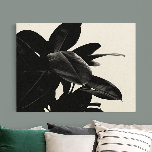 Canvas schilderijen - Goud Rubber Tree Black And White