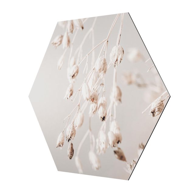 Hexagons Aluminium Dibond schilderijen Hanging Dried Buds