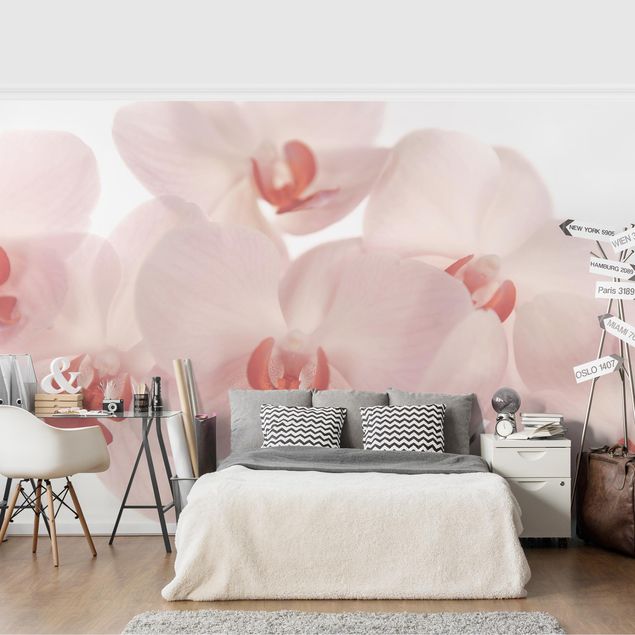 Fotobehang Bright Orchid Flower Wallpaper - Svelte Orchids
