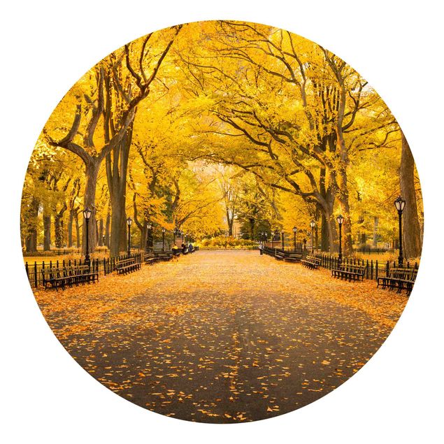 Behangcirkel Autumn In Central Park